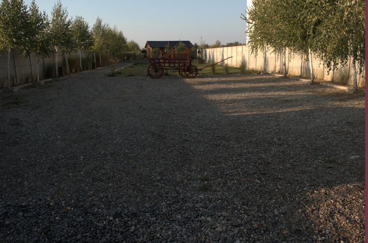 арлен Apartment